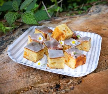 2015-07-zitronen-aprikosen-kuchen